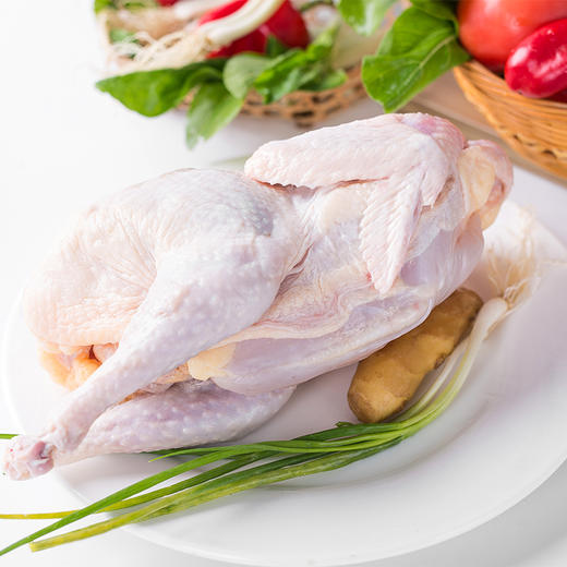 有机散养500天老母鸡（净重900g)【第2只6.5折】 商品图7