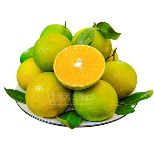 高原王子绿皮冰糖橙子甜度越来越高了