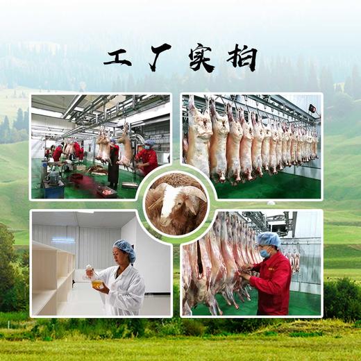 新疆巴什拜有机羔羊肉(新鲜切割羊肉礼盒装) 商品图13