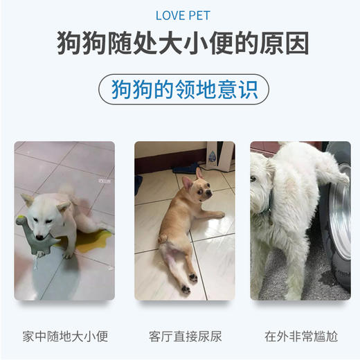 宝莱美露排便诱导剂120ML 猫咪狗狗大小便定位剂宠物训练 商品图4
