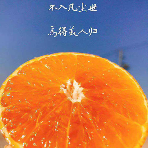 红美人🍊清甜的橘香占满了整个秋冬的档期，而这个季节最爱的还是她——柑橘中的“爱马仕”，一颗即可畅享果冻般的味觉享受。 商品图9