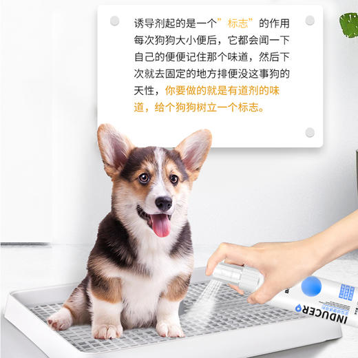 宝莱美露排便诱导剂120ML 猫咪狗狗大小便定位剂宠物训练 商品图3