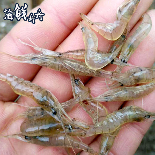 【干货】古法淡晒 小虾皮 250g/袋 商品图1