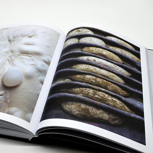 人气甜品师的极简烘焙创意：名店Opera甜品精选 商品图2