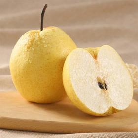 贡梨  500g