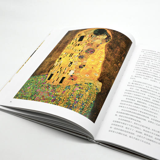 象征主义大师：克里姆特 商品图7