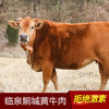 皖北 中原牧场放养黄牛肉 2斤装 商品缩略图3