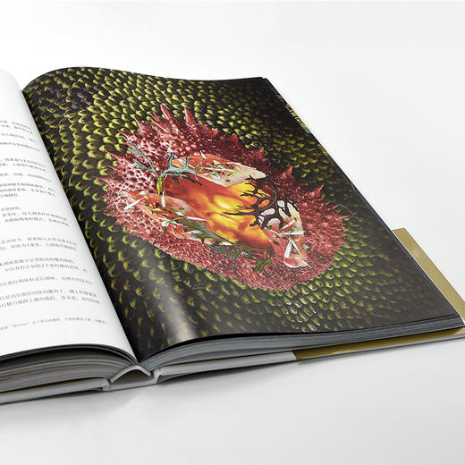 雷诺特法式经典烹饪： 殿堂级厨艺学校60年大师创作精选 商品图3