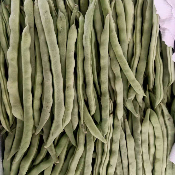精品青芸豆400g
