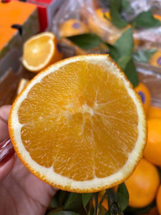 周六取货：【礼盒赣南脐橙】一箱毛重5斤左右，新鲜采摘，果肉细腻，香气扑鼻！酸甜可口！ 商品图1