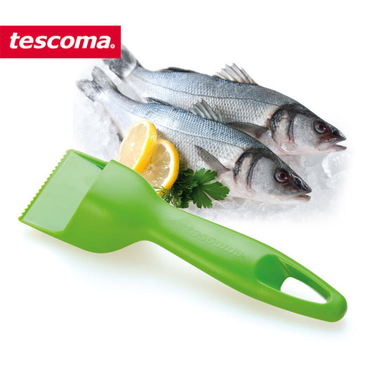 捷克进口/ tescomaPRESTO系列鱼鳞刮刀【不支持补差，非质量问题不退不换】S 商品图2