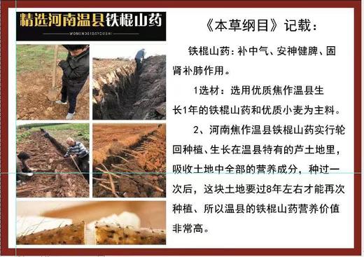 铁棍山药刀削面，220克/包，共计10包/组 商品图3