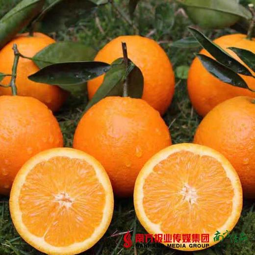 【全国包邮】赣南脐橙 20斤中大果（净重18.5-19斤）（72小时内发货） 商品图1