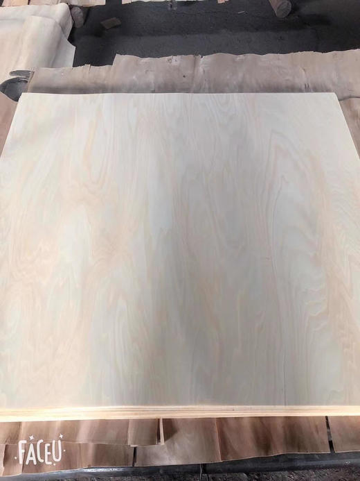 原木木材 商品图3