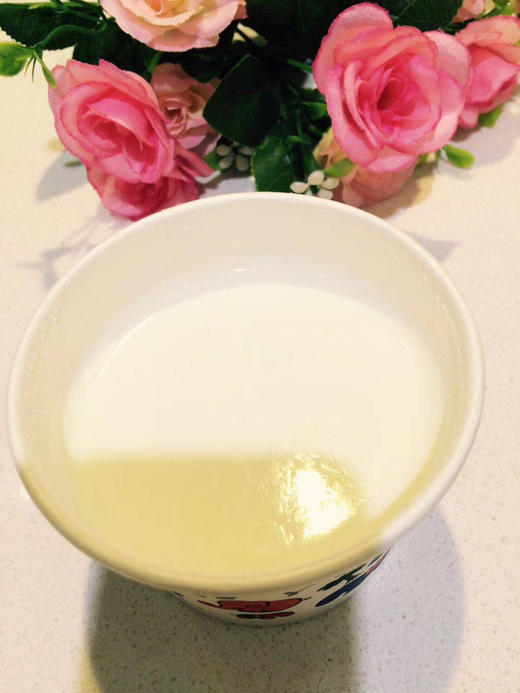 手工老酸奶 商品图0