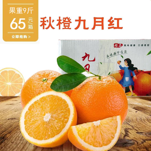秋橙九月红果重9斤/箱 商品图0