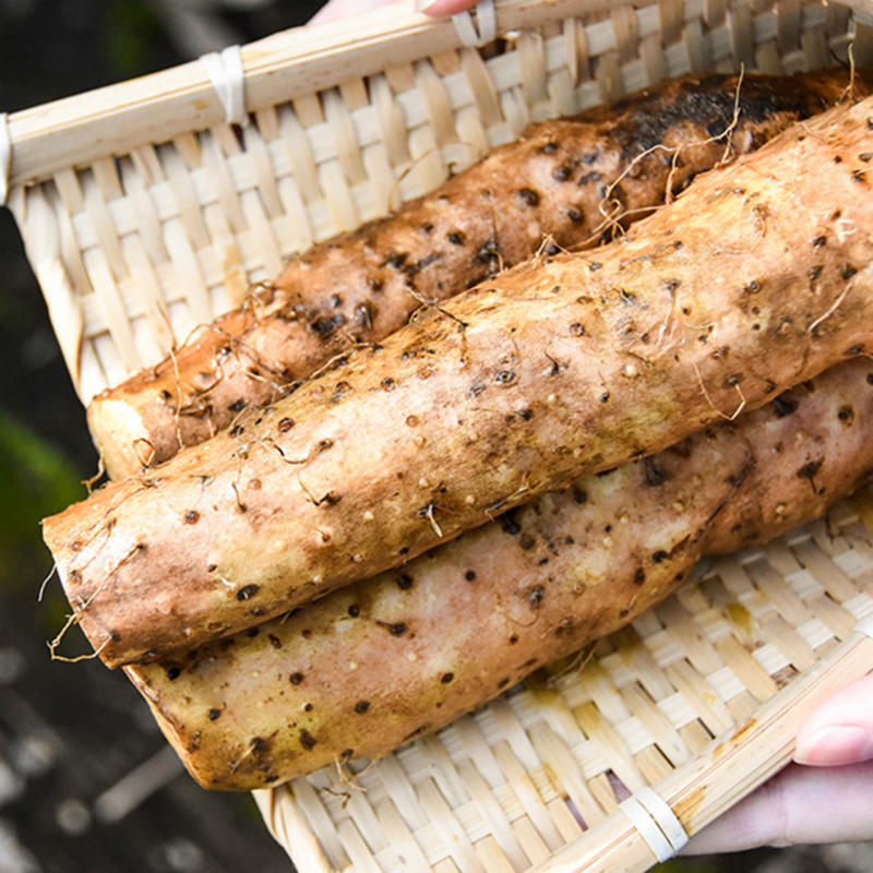 宝兴高山糯山药 4斤礼盒装 每周一三五发货