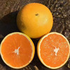 屈原故里秭归脐橙九月红 肉脆汁多香甜可口的果冻橙 商品缩略图0