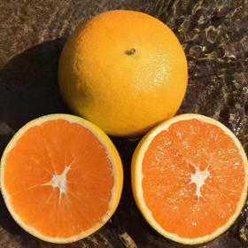屈原故里秭归脐橙九月红 肉脆汁多香甜可口的果冻橙