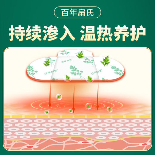 百年扁氏艾草精油膝盖贴 商品图2