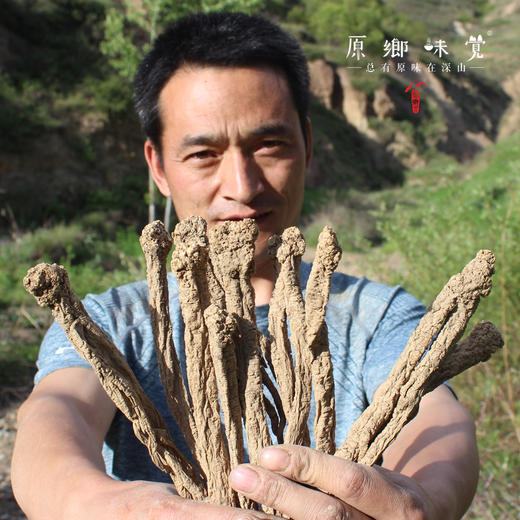 野生党参（成都仓库-顺丰快递） | 250g/袋，来自甘肃岷县，生产者：周尚书【合作生产，公平贸易】 商品图3