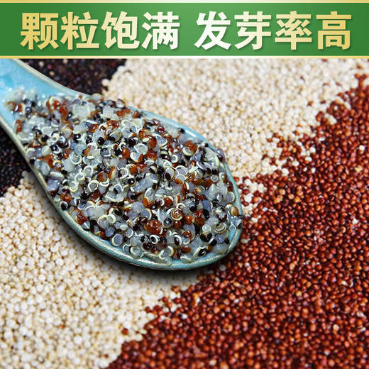 青海藜麦  高海拔种植  主食中的贵族，高颜值食材 商品图0