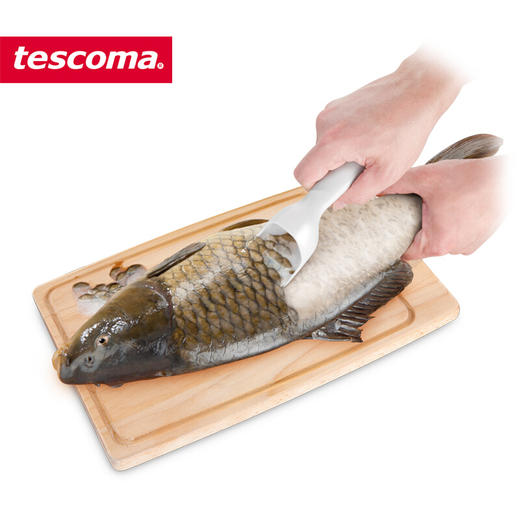 捷克进口/ tescomaPRESTO系列鱼鳞刮刀【不支持补差，非质量问题不退不换】S 商品图1