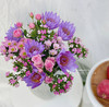 【稳稳的幸福】紫色睡莲6 粉色多头玫瑰2 粉色小雏菊2 粉色相思梅4（夏木设计） 商品缩略图0
