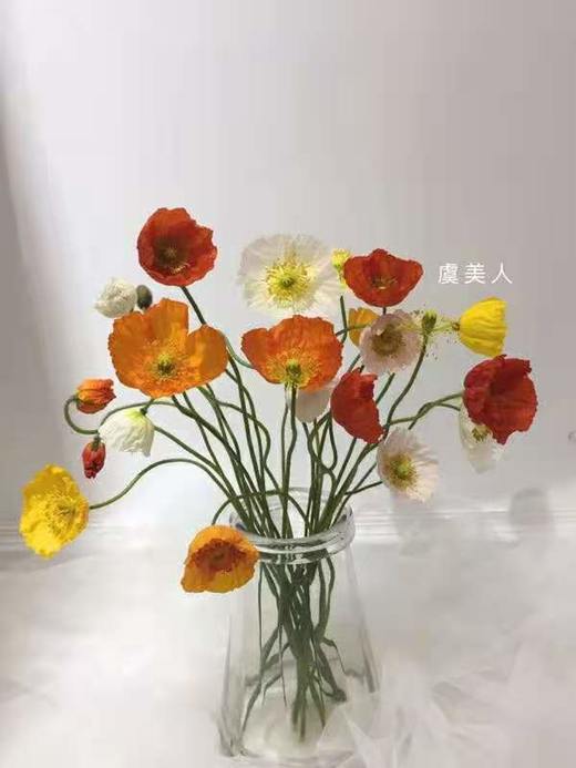 虞美人 商品图0