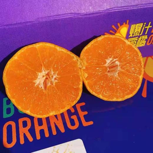 【西海爆汁蜜橘】20头/5斤  纯甜口不打蜡 商品图0