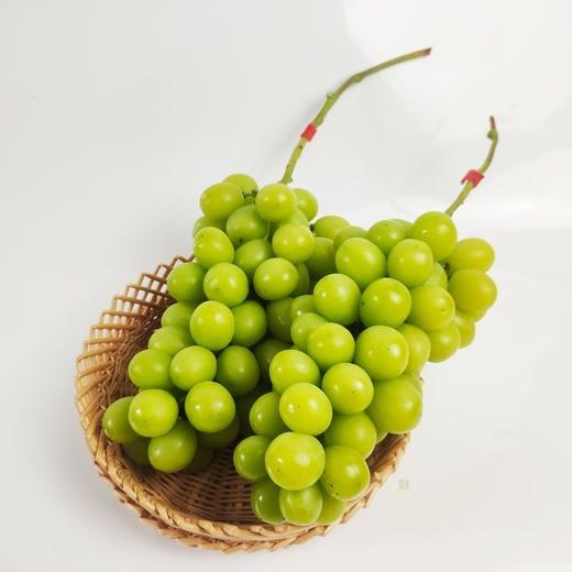 阳光玫瑰 又称相印青提 2斤/3斤±200g （48-72小时发货） 商品图4
