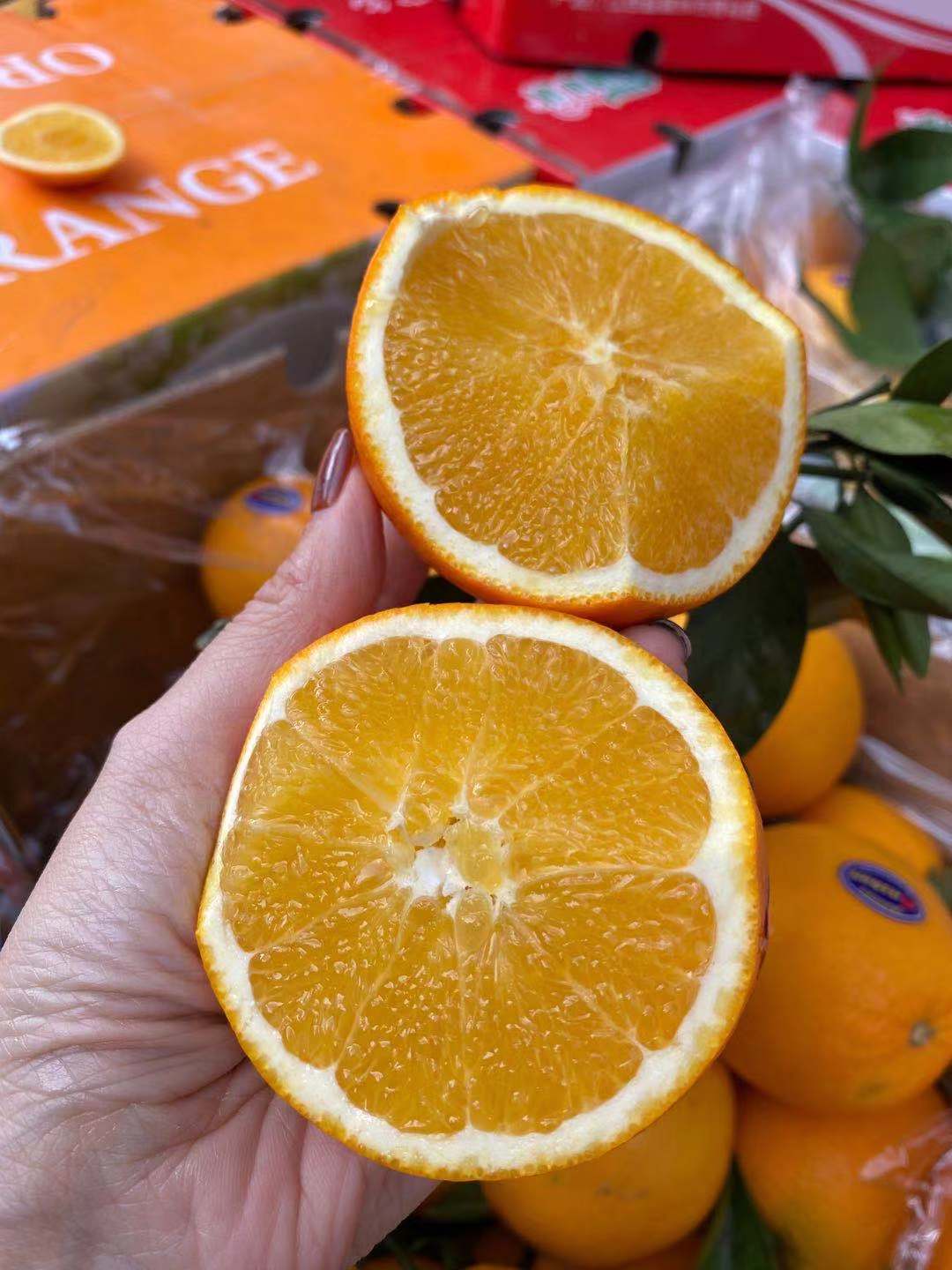 周六取货：【礼盒赣南脐橙】一箱毛重5斤左右，新鲜采摘，果肉细腻，香气扑鼻！酸甜可口！