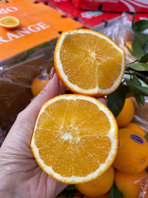周六取货：【礼盒赣南脐橙】一箱毛重5斤左右，新鲜采摘，果肉细腻，香气扑鼻！酸甜可口！ 商品图0