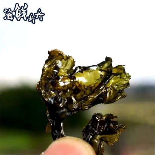 【干货】古法淡晒 免洗头水紫菜  特价活动商品  250克/袋  包邮 商品图1