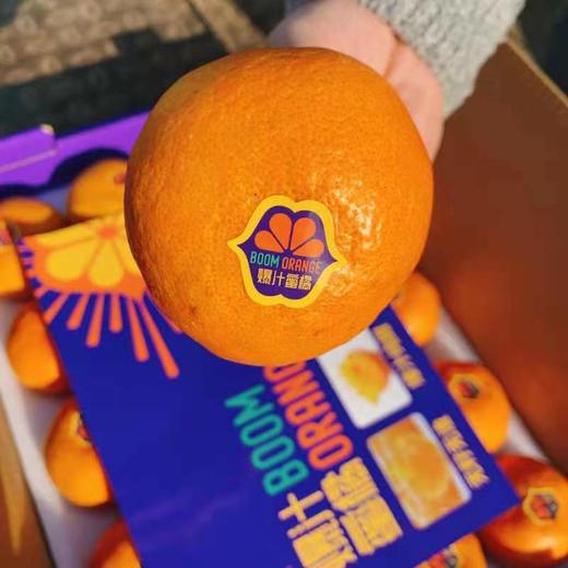 【西海爆汁蜜橘】20头/5斤  纯甜口不打蜡 商品图3