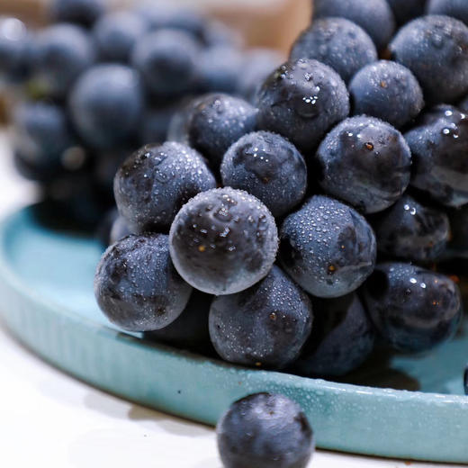 产地直邮-云南露天黑加仑 果肉q弹 滑嫩 汁水丰沛 果香宜人 现摘配送