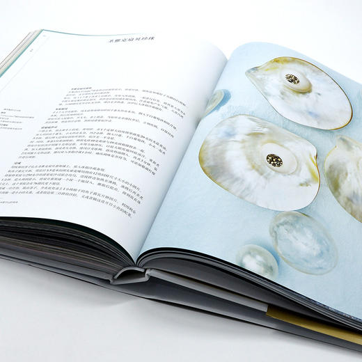 雷诺特法式经典烹饪： 殿堂级厨艺学校60年大师创作精选 商品图10