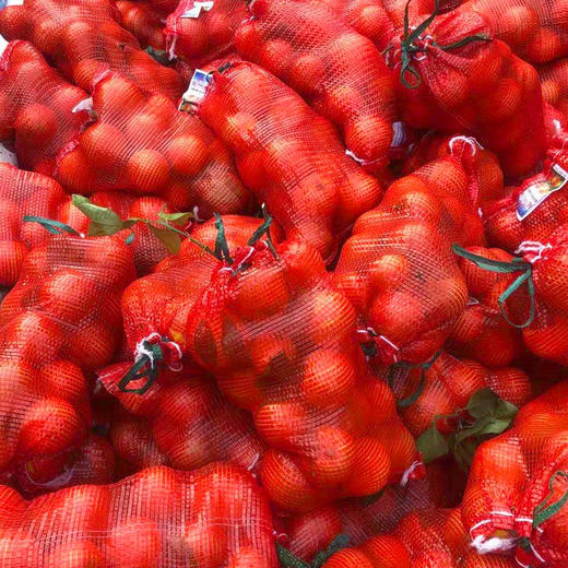 【11.9元2袋】无公害、不打药、超级甜的袋橙1袋约4斤左右（1501301） 商品图0