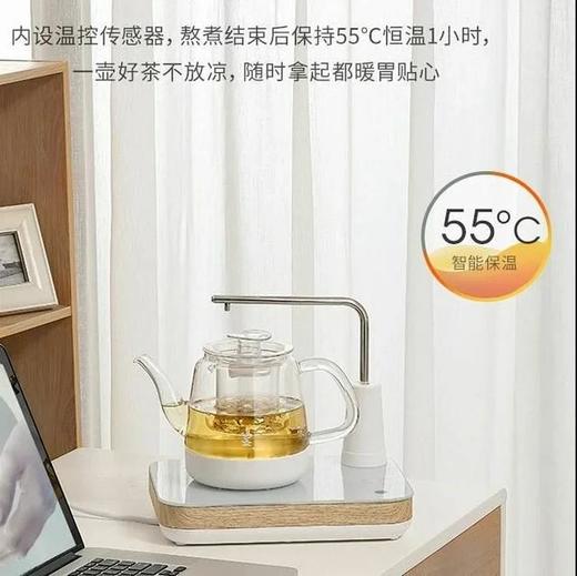 鸣盏mz036煮茶器花茶壶煮白茶 商品图0