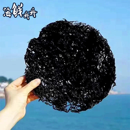【干货】古法淡晒 免洗头水紫菜  特价活动商品  250克/袋  包邮 商品图9