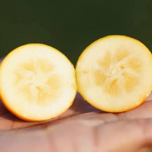 融安滑皮金桔 有机种植高山果  3/4斤装 商品图4