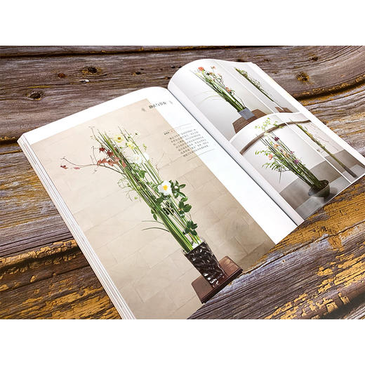 花艺设计原理与技法 从理解植物到设计植物 花艺设计技法花艺设计原理花艺色彩设计 基础花艺设计工具书花艺设计技巧 色彩搭配 商品图3