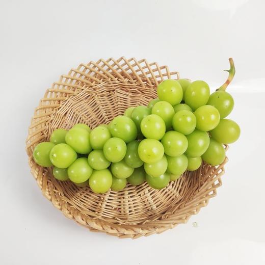 阳光玫瑰 又称相印青提 2斤/3斤±200g （48-72小时发货） 商品图5