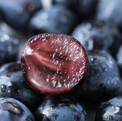 产地直邮-云南露天黑加仑 果肉q弹 滑嫩 汁水丰沛 果香宜人 现摘配送