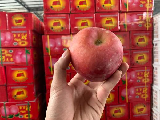 新疆阿克苏冰糖心苹果产地🏷️#正宗红旗坡🚩，每个苹果出园都要农户都签名，我们只卖正宗阿克苏苹果一般的苹果，只有14%的甜。而阿克苏苹果因果核附近糖分大量堆积，糖度高达18%以上 商品图3