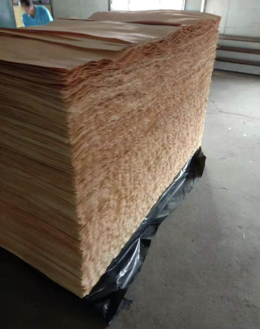 原木木材 商品图4