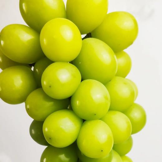 阳光玫瑰 又称相印青提 2斤/3斤±200g （48-72小时发货） 商品图2