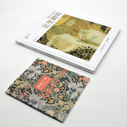 象征主义大师：克里姆特 商品图2