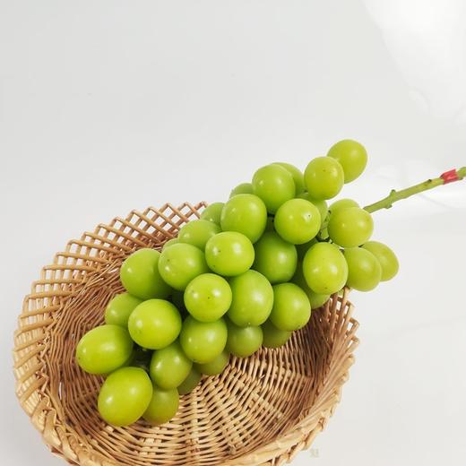 阳光玫瑰 又称相印青提 2斤/3斤±200g （48-72小时发货） 商品图3