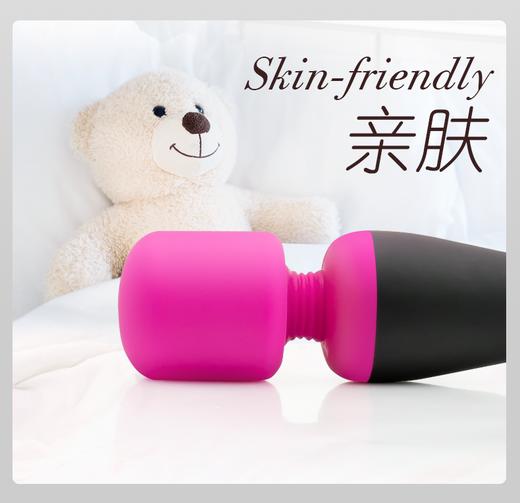 加拿大 Palmpower 女用迷你随身携带AV棒震感震动防水旅行便携震动棒 商品图1